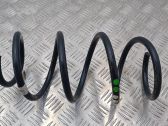 Front coil spring