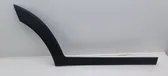 Rear door trim (molding)