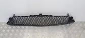 Front bumper lower grill