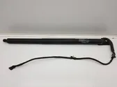 Tailgate/trunk strut/damper
