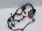 Front door wiring loom