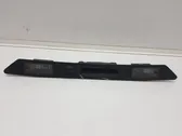 Trunk door license plate light bar