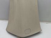 (B) pillar trim (bottom)