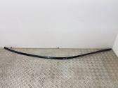 Roof trim bar molding cover