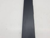 Rear door glass trim molding