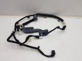 Rear door wiring loom
