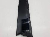 Rear door glass trim molding