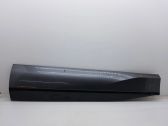 Front door trim (molding)