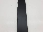 Rear door glass trim molding