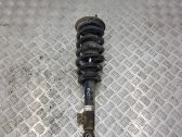Front shock absorber/damper
