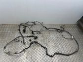 Other wiring loom