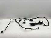 Rear door wiring loom