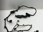Rear door wiring loom