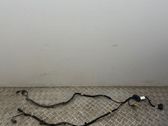 Other wiring loom