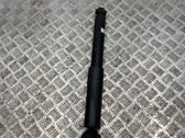 Rear shock absorber/damper