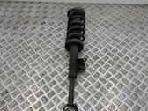 Front shock absorber with coil spring
