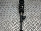 Front shock absorber with coil spring
