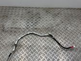 Other wiring loom