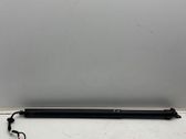 Tailgate/trunk strut/damper