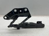 Bisagras del capó/tapa del motor