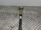 Rear shock absorber/damper