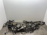 Otros cableados