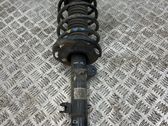 Front shock absorber with coil spring