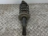Front shock absorber with coil spring