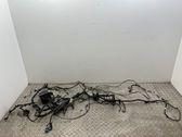 Other wiring loom