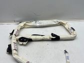 Roof airbag