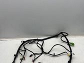 Other wiring loom