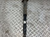 Stoßdämpfer hinten