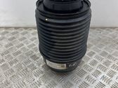 Rear air suspension bag/shock absorber