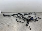 Other wiring loom