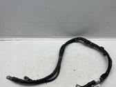 Other wiring loom