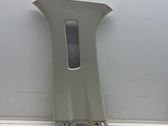 (B) pillar trim (top)