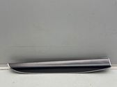 Dashboard glove box trim