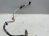 AdBlue injector