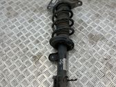 Rear shock absorber with coil spring
