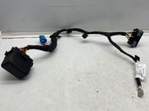 Other wiring loom