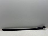 Windshield trim