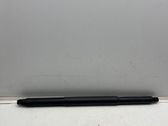 Tailgate/trunk strut/damper