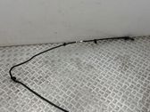 Fuel line pipe