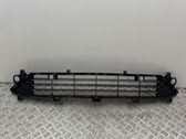 Front bumper lower grill