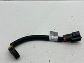 Other wiring loom