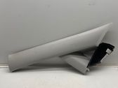 (A) pillar trim