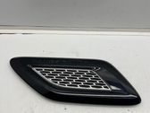 Ziergitter Motorhaube