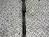 Stoßdämpfer hinten