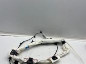 Roof airbag