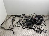 Other wiring loom